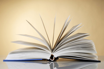 Aufgeschlagenes Buch