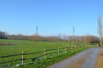 small road in countryside