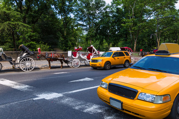 Central Park horse carriage rides in New York