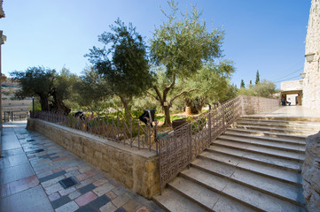 Garden of Gethsemane