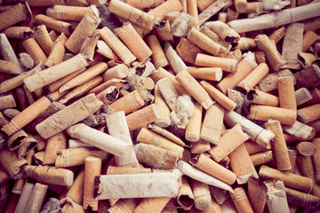 closeup shot of burnt cigarette butts