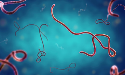 ebola virus - obrazy, fototapety, plakaty