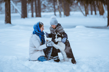 Fototapeta na wymiar winter walk with husky