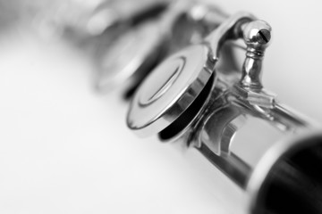 Fragment valves flute closeup © furtseff