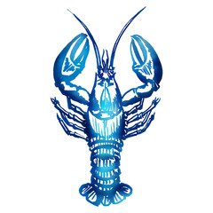 Vector lobster sketch. - 76066820