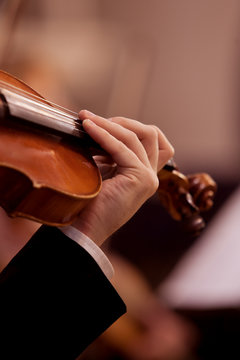 Musician hand on the fingerboard violin