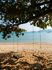Swing on a tree on a beach