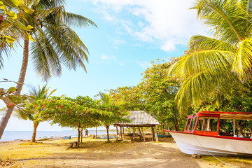 Obraz premium Play Tarcoles Costa Rica