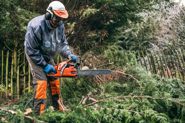 Professional gardener using chainsaw