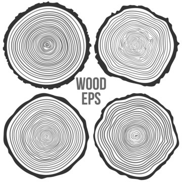 Vector tree rings background and saw cut tree trunk