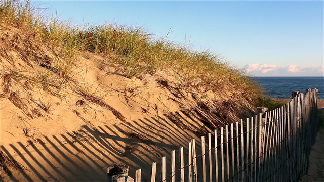 Sand dune with fence and grass