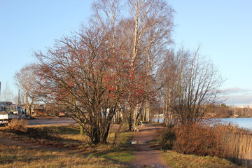Farbenpracht