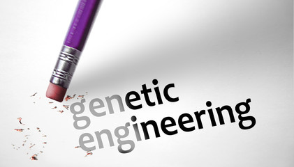 Eraser deleting the concept Genetic Engineering