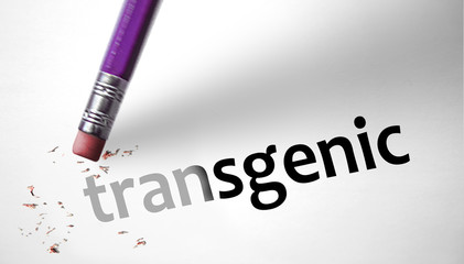 Eraser deleting the word Transgenic