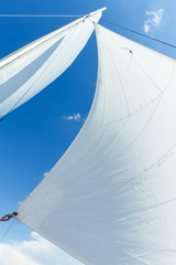 White sails