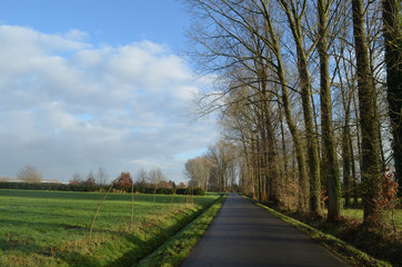 countryside in autumn