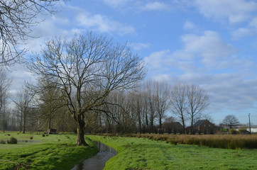 countryside in autumn