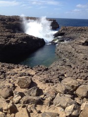 Cove 