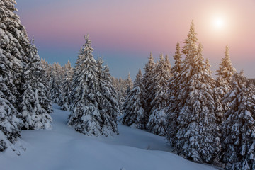 Naklejka premium Winter sunset