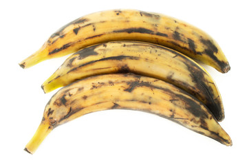 Three plantain bananas on white background © DD Images