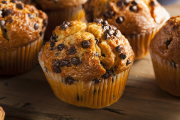 Homemade Chocolate Chip Muffins