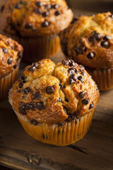 Homemade Chocolate Chip Muffins