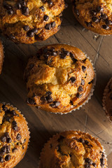 Homemade Chocolate Chip Muffins