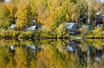 Fototapeta premium Forest lake