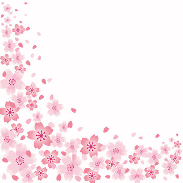 桜　背景