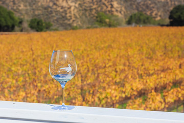 Wine tasting at Salinas Valley