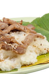 Sticky Rice and Pork fried vertical