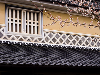 Detail of traditional Japanese house in spring