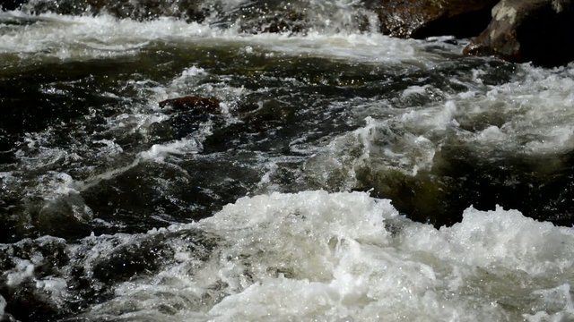 Pure running water of a river in the wilderness