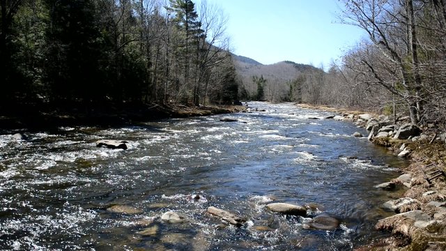 Pure running water of a river in the wilderness