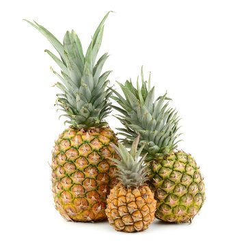 collection pineapple isolated on white