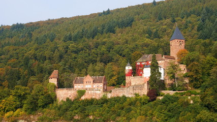Fototapeta na wymiar Schloss Zwingenberg am Neckar