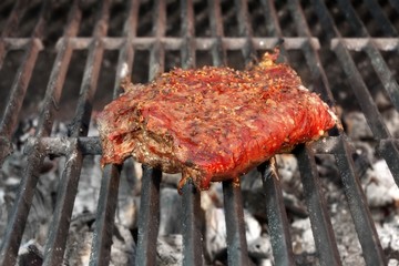 Grilled Beefsteak