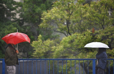 Two People in Rainy Day with Umbrella