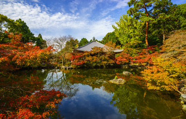 Daigoji Temple in Autumn, Kyoto, Japan