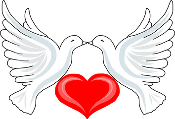 Two doves with heart