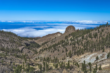 View of the coast of Tenerife. The Canary Islands. Spain.