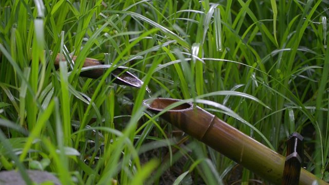 Shishiodoshi,in Sayama nature park,Saitama,Japan / 狭山自然公園のししおどし
