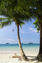 Palm View Coconut Coast