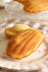 Madeleines