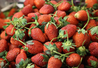 fresh strawberries