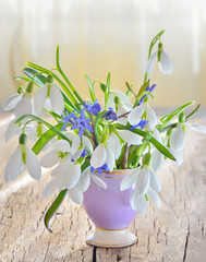 snowdrops in vase on old wood