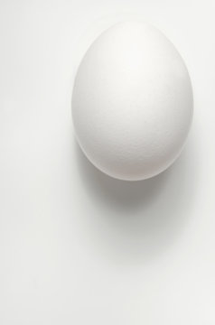 One White Egg