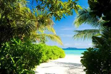 Island Lagoon Coconut Getaway