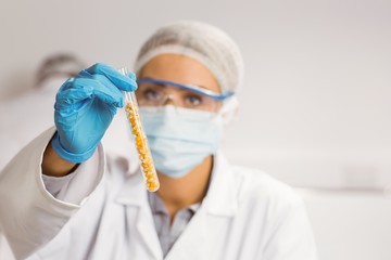 Food scientist holding test tube of corn