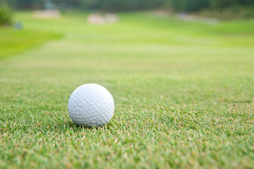 golf ball on green grass